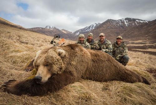 Huge Alaskan brown bear take with Dr Ed Ashby's Dangerous Game System