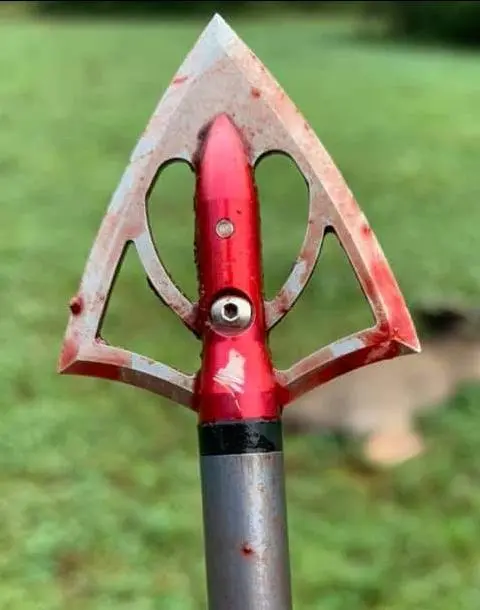 Overkill X Bolt & Broadhead Package