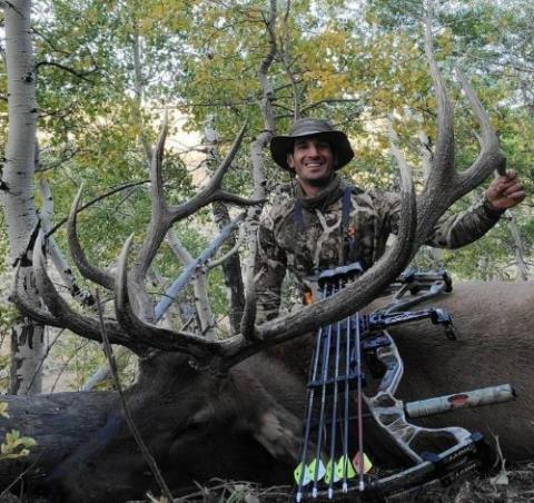 Dr Ed Ashby Big Game System Bull Elk