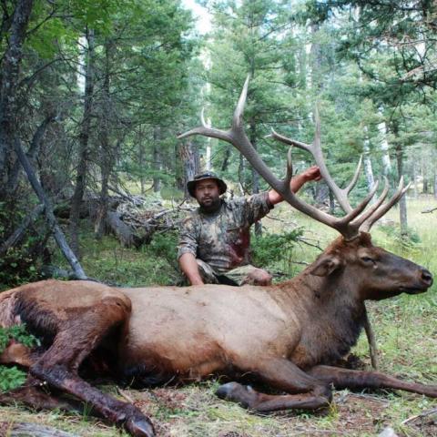 GrizzlyStik Customer Success - Elk