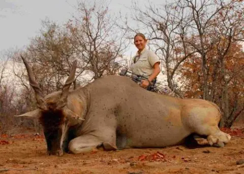 Light Poundage Bowhunting Success with Dr Ed Ashby's Big Game System