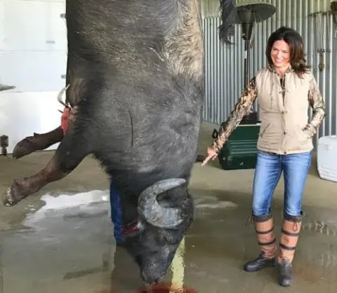 Light Poundage Bowhunting Success with Dr Ed Ashby's Big Game System