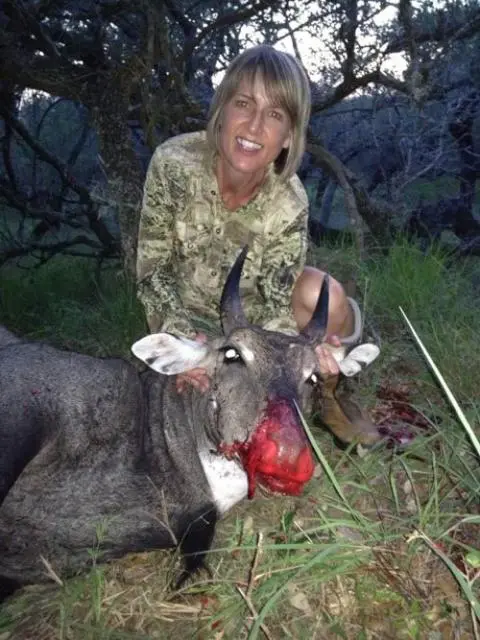 Light Poundage Bowhunting Success with Dr Ed Ashby's Big Game System