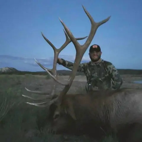 New Mexico Bull Elk Taken with a OverKill Samurai 125 grain Single Bevel Broadhead