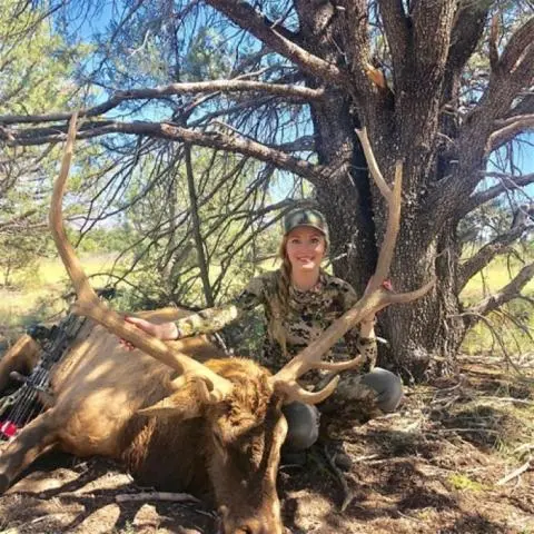Elk Taken with Light Poundage Bow and Maasai 125 grain Broadhead