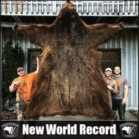 World Record Alaskan Brown Bear GrizzlyStik