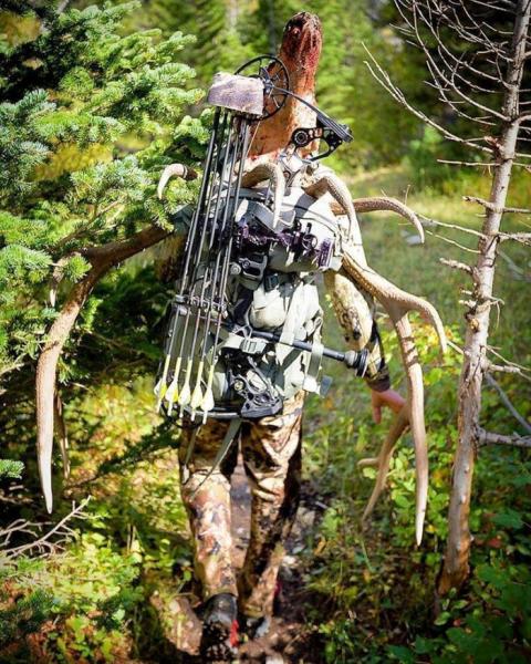 Bull elk with the Dr Ed Ashby Big Game arrow & broadhead system