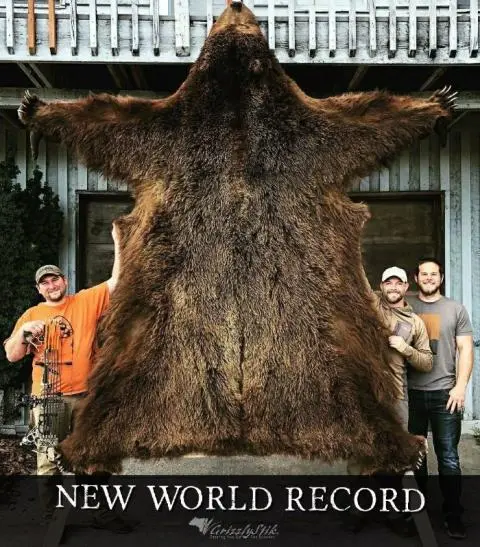 World Record Brown Bear with Dr Ed Ashby 650 System