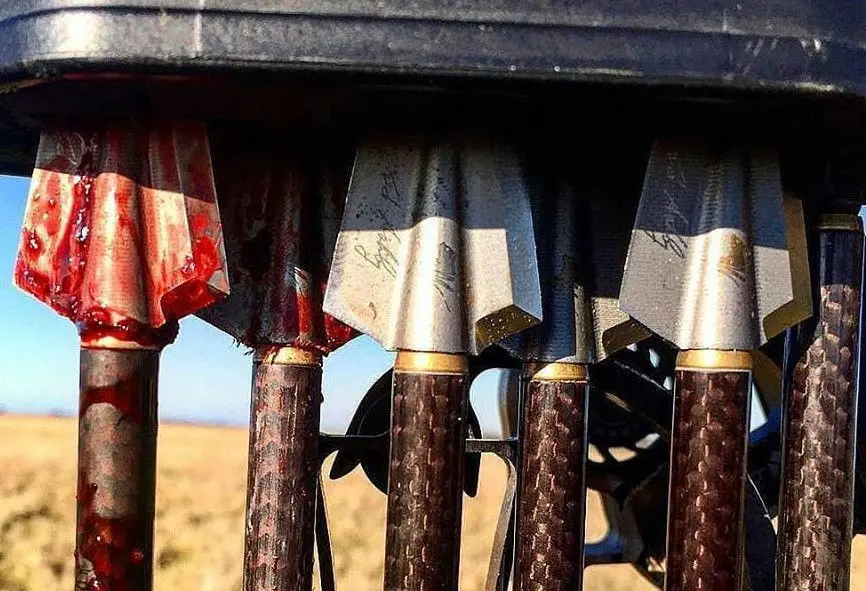 Ashby Broadheads®