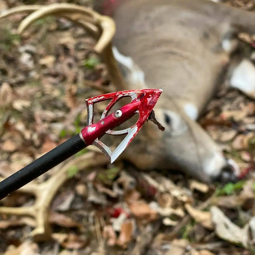 Crossbow Broadheads