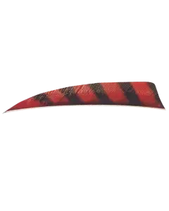 4" Trueflight Feathers RW - Shield Cut