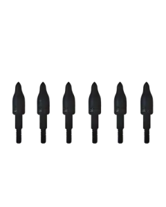 CLOSE OUT - GrizzlyStik 175 Grain Field Points 6-Pack