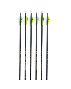 Momentum TDT® Vane Fletched Arrows 6-Pack