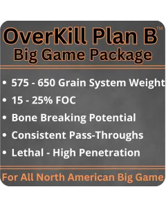 Plan B™ Big Game Arrow & Broadhead Package
