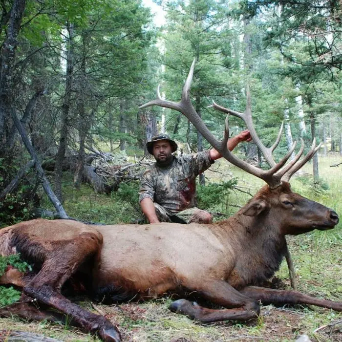 GrizzlyStik Customer Success - Elk