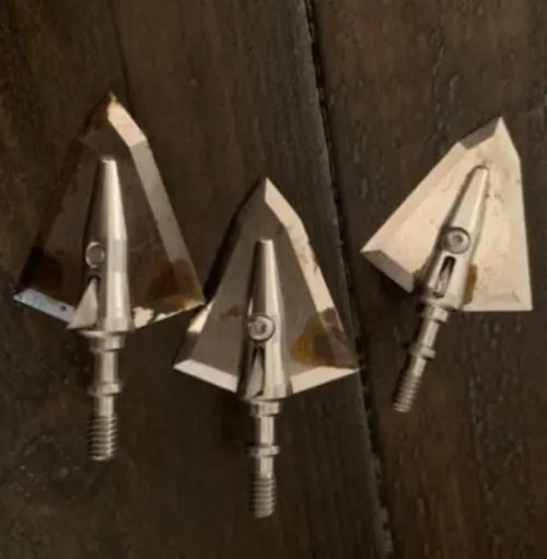 Iron Will Broadheads Rust