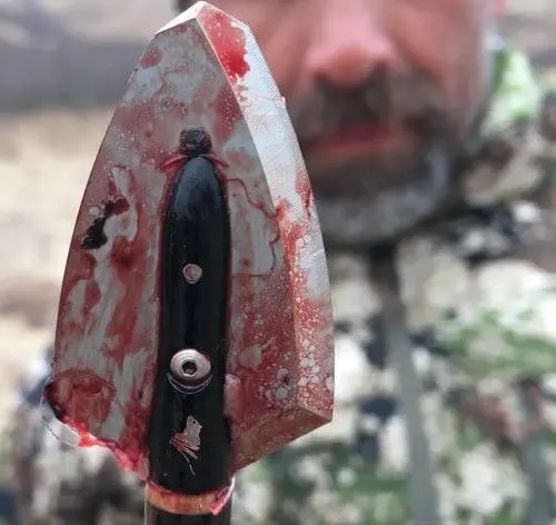 Maasai Broadhead Success on Brown Bear