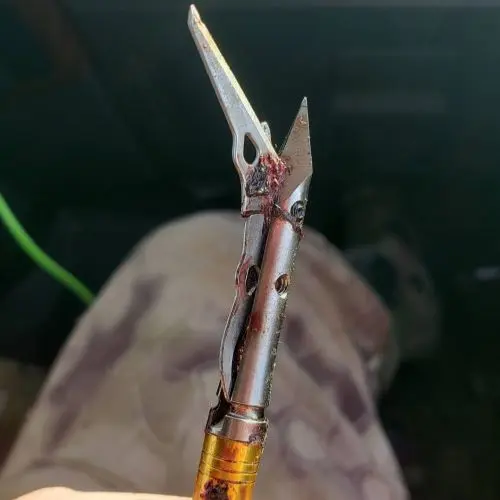 Broadhead failure