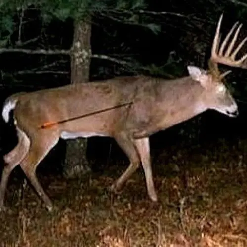 Broadhead failure