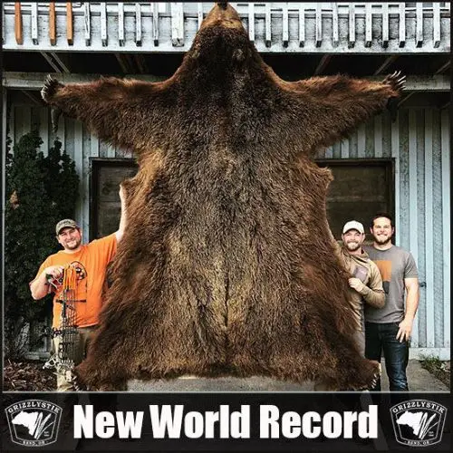 World Record Alaskan Brown Bear GrizzlyStik