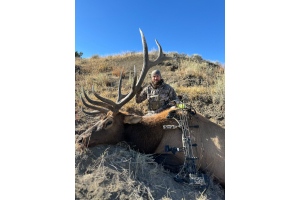 North Central Montana Public Land Elk