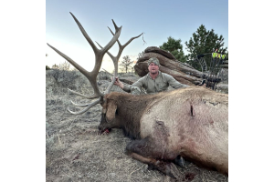 WY Bull Elk Archery Success