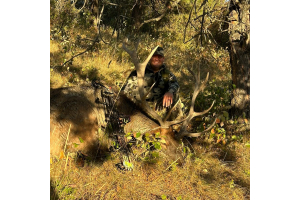 Archery Elk Hunting Success