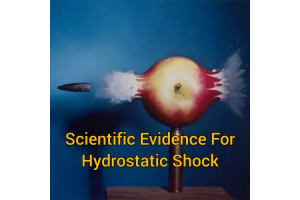 Scientific Evidence for “Hydrostatic Shock”