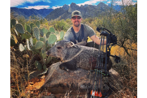Javelina taken with GrizzlyStik, bowhunting success story
