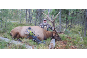 Elk archery hunting success