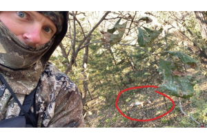 Whitetail Buck taken with GrizzlyStik, bowhunting success story