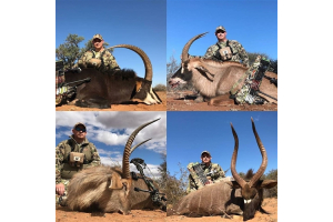 Busy Taxidermist