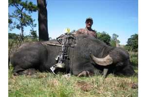 Huge Body Water Buffalo