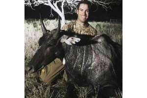 Trophy Texas Blue Bull