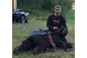  420lbs Hefty Black Bear
