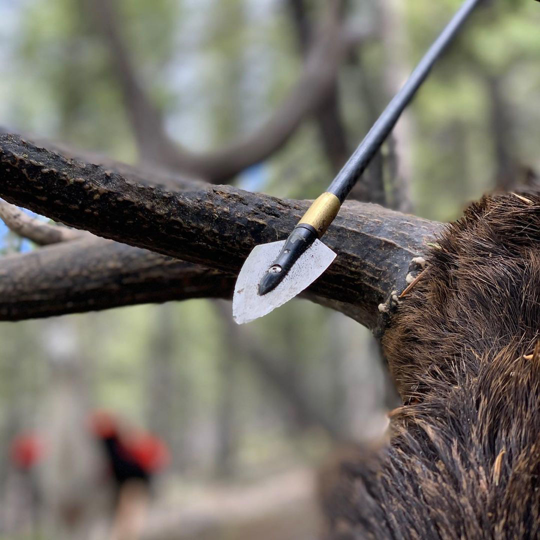 GrizzlyStik Dual Field Sharpener