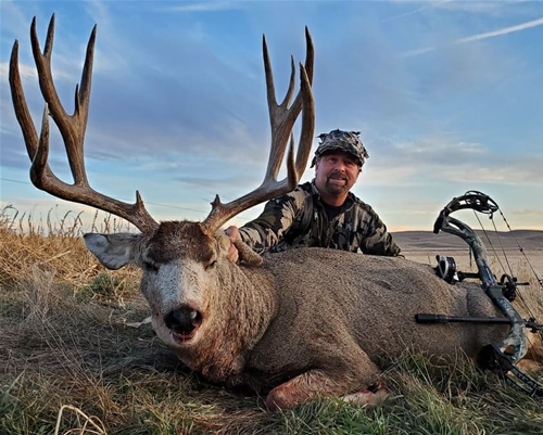 GrizzlyStik Samurai 125 grain single bevel broadhead for mule deer hunting