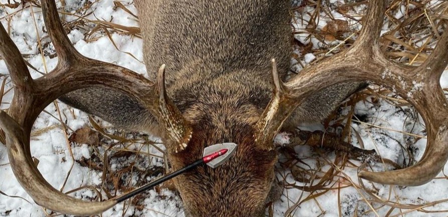 OVERKILL™ Single Bevel Broadheads OVERKILL™ Single Bevel Broadheads