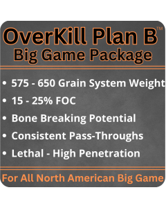 Plan B™ Big Game Arrow & Broadhead Package
