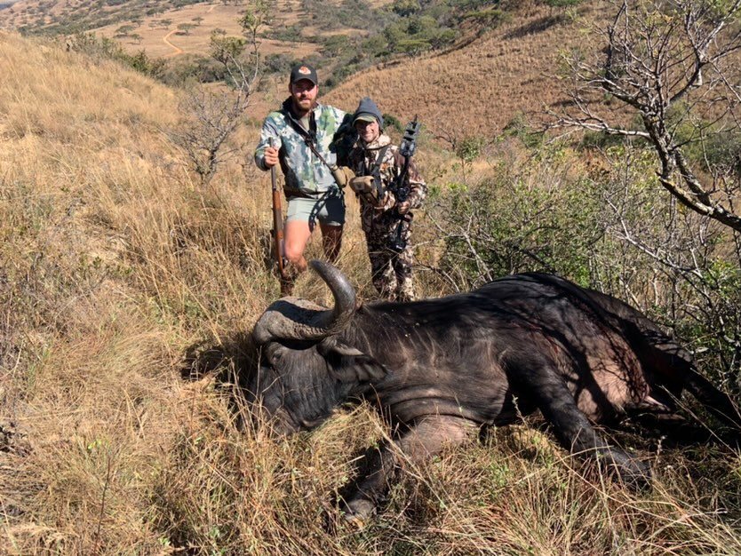 2 Cape Buffalo taken with GrizzlyStik, bowhunting success story