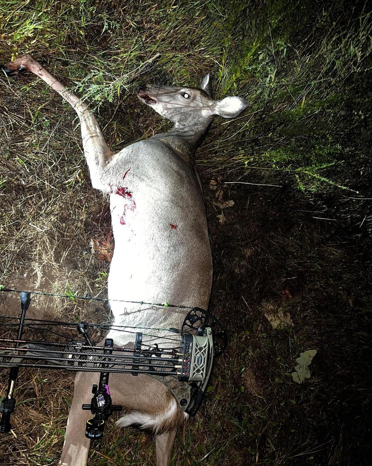 2 Does taken with GrizzlyStik, bowhunting success story
