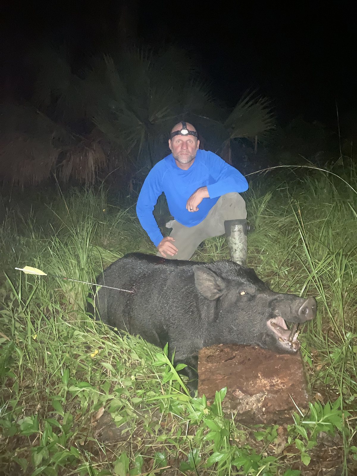 300 Lb Boar taken with GrizzlyStik, bowhunting success story