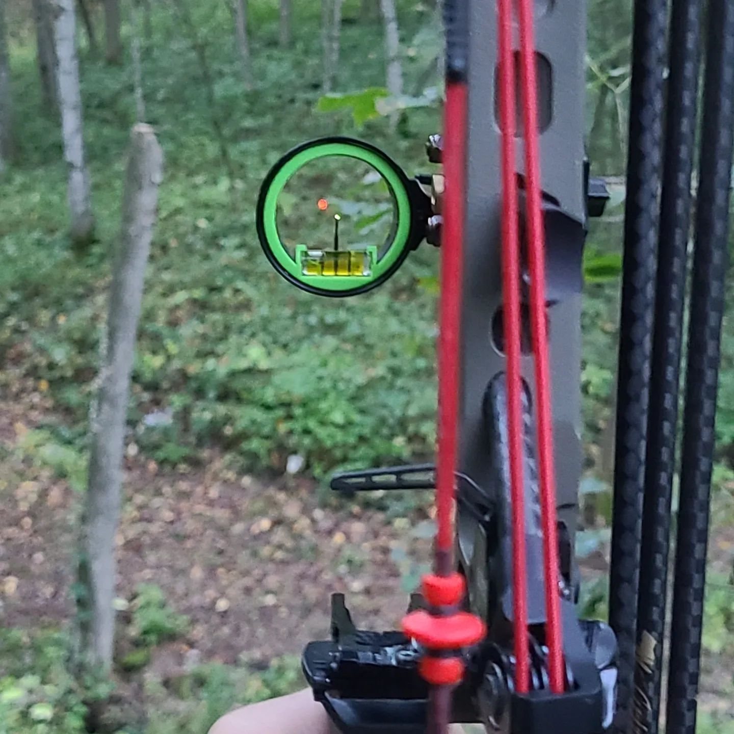 9 Point Buck taken with GrizzlyStik, bowhunting success story