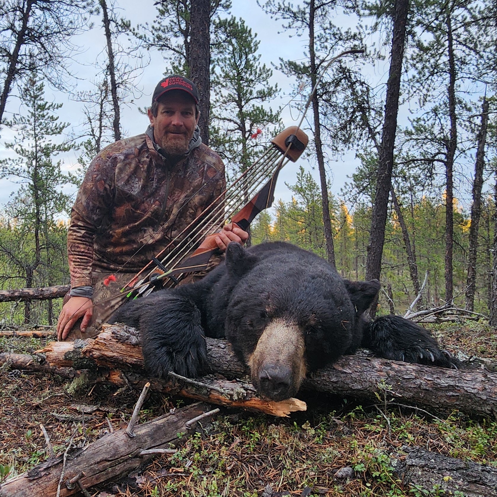 Trad Bow Black Bear Success