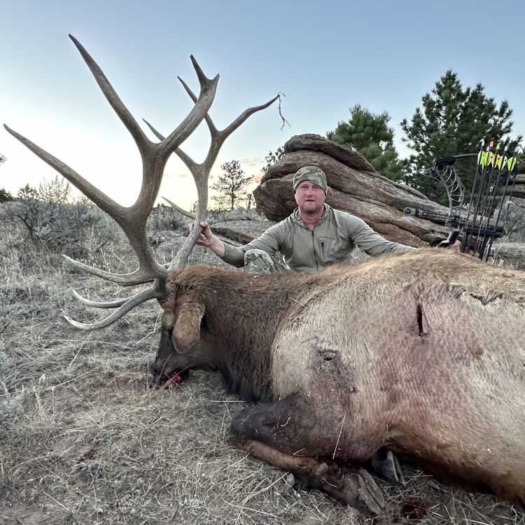 WY Bull Elk Archery Success