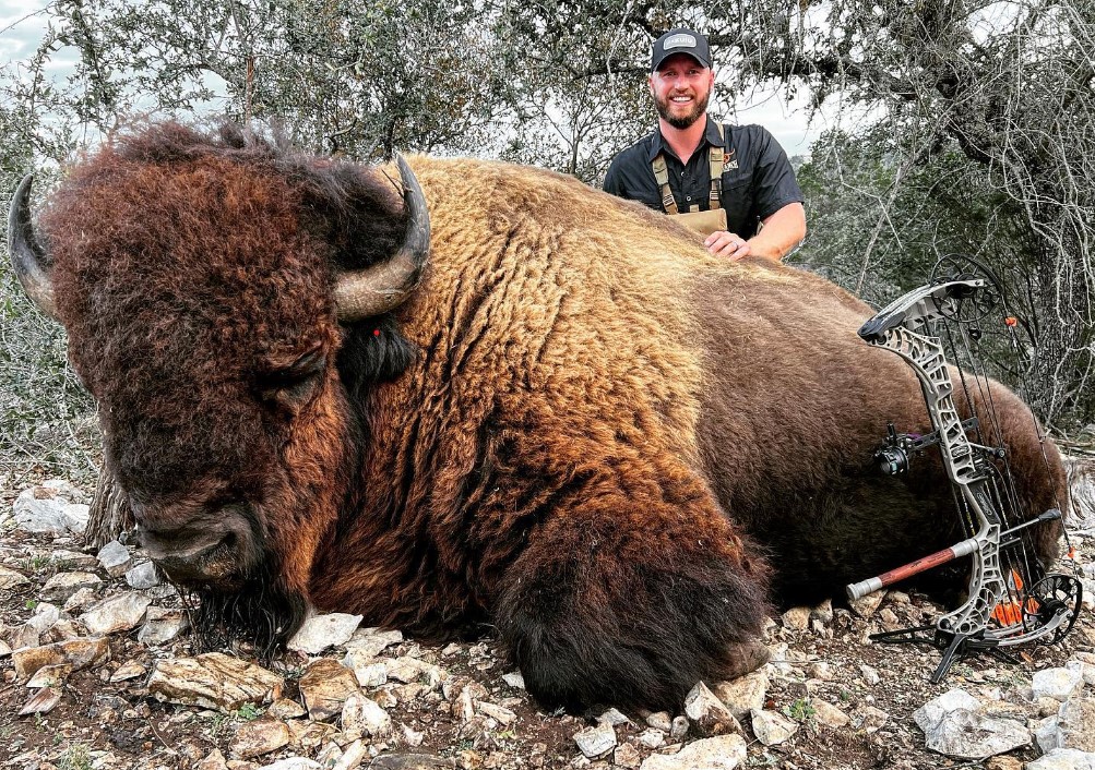 American Bison Dream Hunt