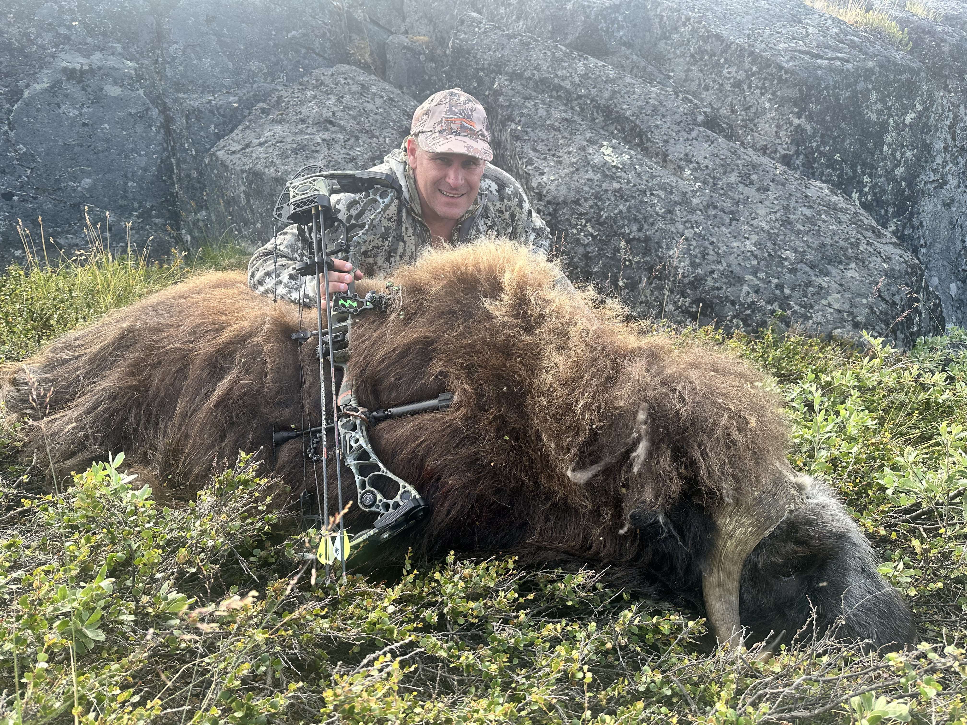 Greenland Musk Ox Archery Hunt