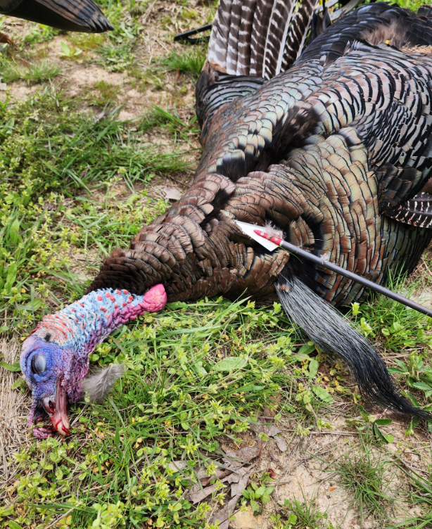 Southern Missouri Turkey