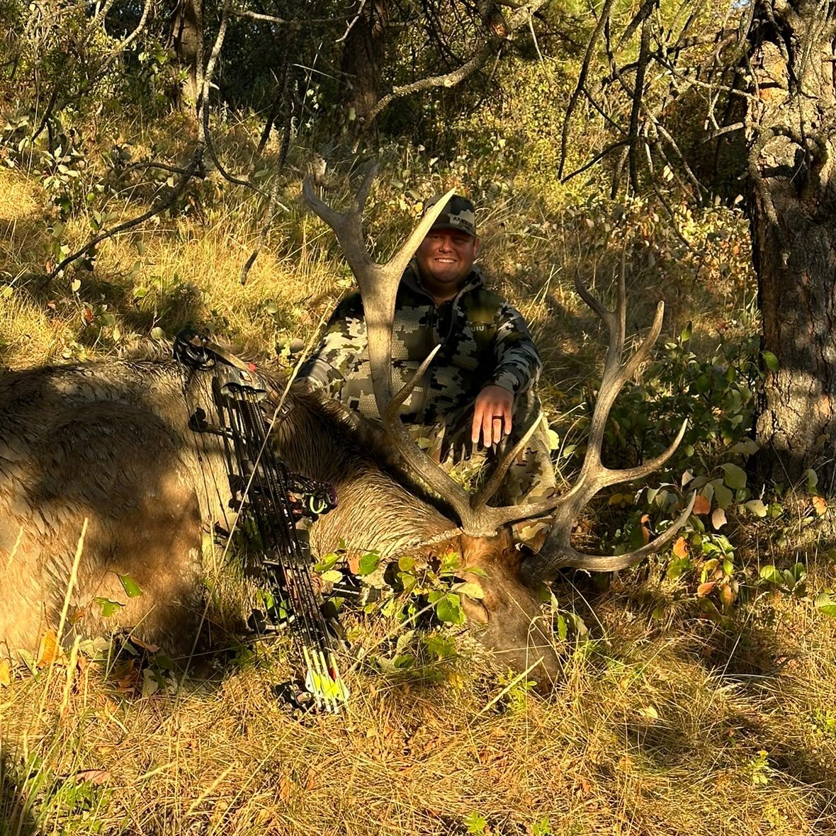 Archery Elk Hunting Success