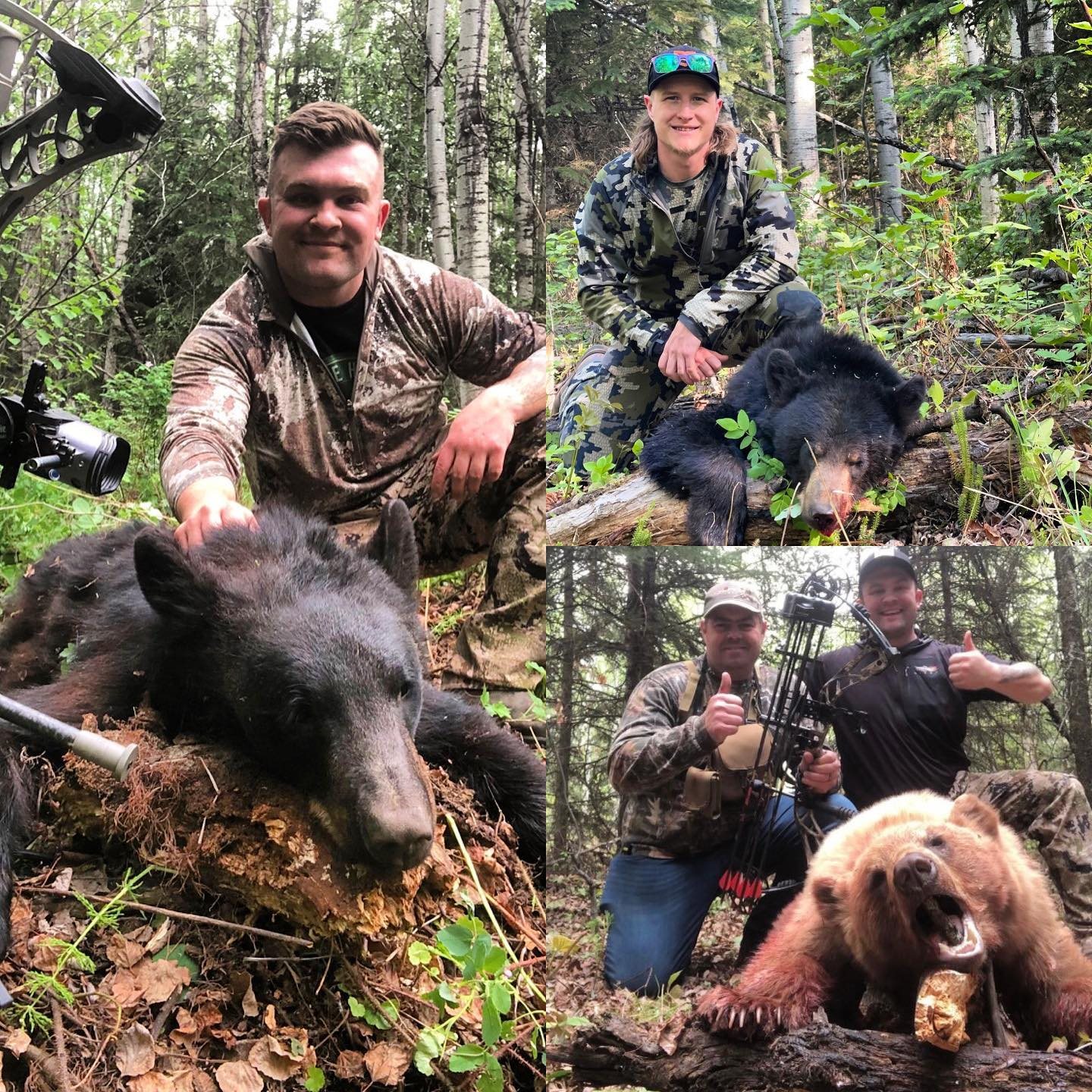 Bear taken with GrizzlyStik, bowhunting success story